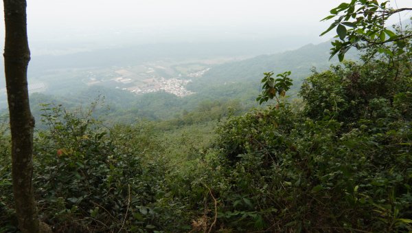 小百岳集起來_笠頂山登山步道2368377