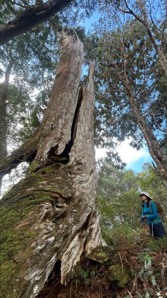 芃芃山西北稜大內台2693946