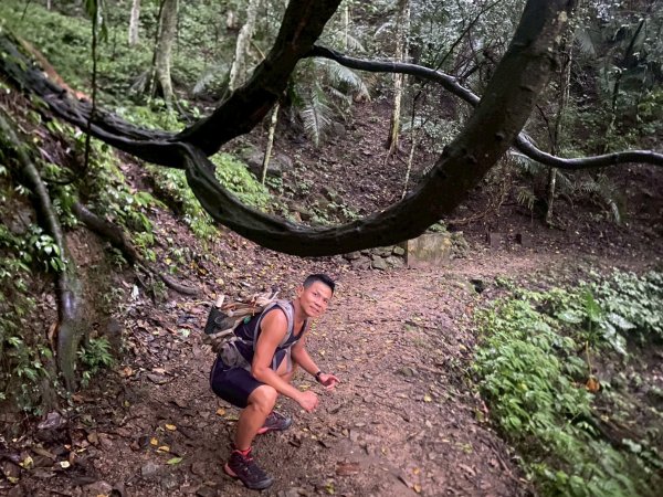 南庄.蓬萊溪護魚步道.四十二份坪步道.小東河步道【差點一事無成的七月暑假】2849346