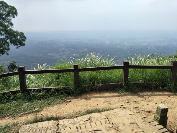 龍麟山步道1462798