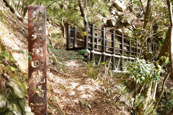 台中 和平 東卯山2674530