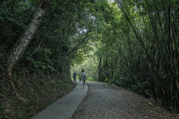 短而優的林美石磐步道1475119