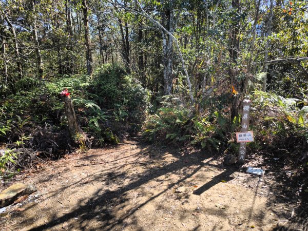 2025-12-21 武界山、獅凸魯山、橫屏山、橫屏山西峰2969712