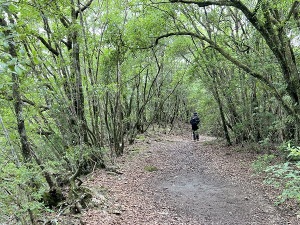 熊野古道參訪4日2805109