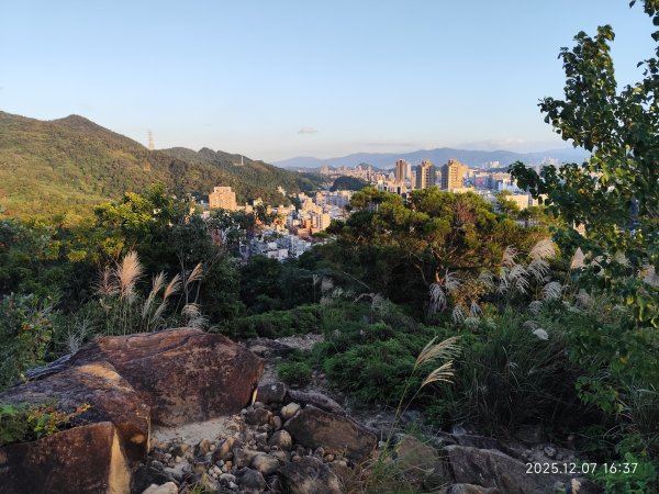 【臺北大縱走 5】碧山巖→忠勇山越嶺步道→金龍產業道路→圓明寺步道→鄭成功廟→潛園→格物台→劍潭古寺2959020
