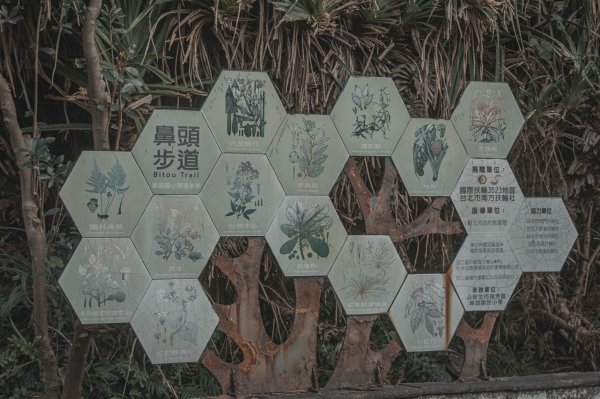 絕美的海岸地質教室｜鼻頭角步道3020686