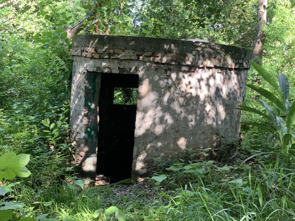 20250628高雄望雲山-尚書林山2826298