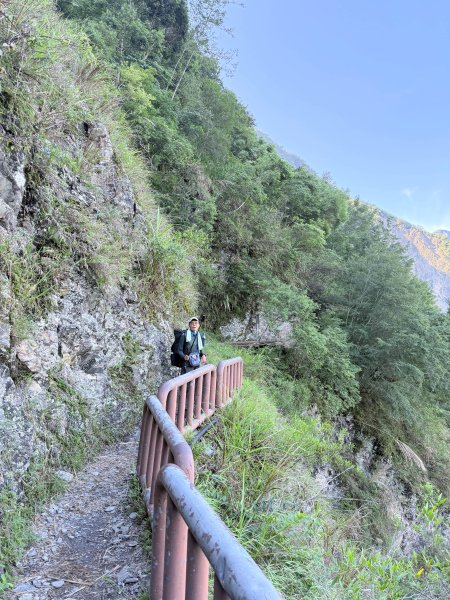 來去郡大坐龍貓公車順登對關山2822323