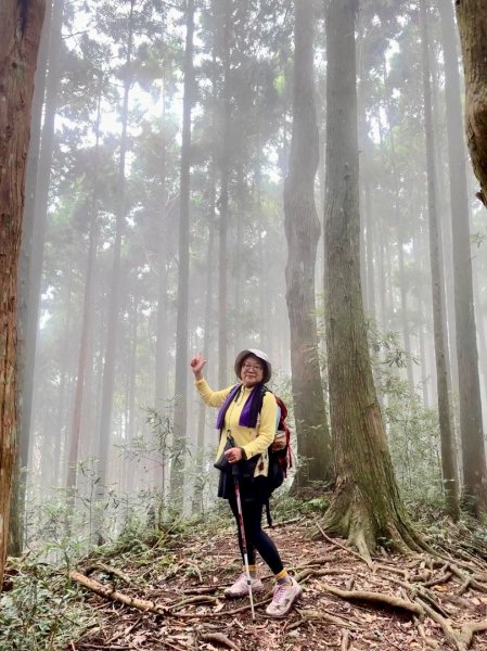 光天高山 - 向天湖山(小百岳32) 小O一圈2876737