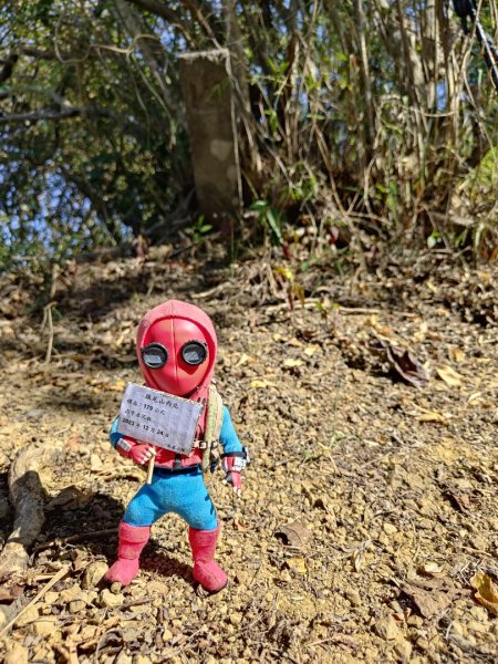 2023.12.24 旗尾山2838050