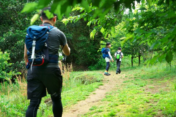 淡水天元宮步行到竹子湖，綠意盎然的古道路徑。一切都是為了吃飯。1347603