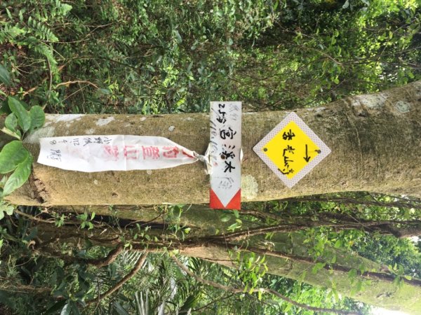 十溪（十一指古道、水中土地公、大艽芎古道、溪石亭、溪洲山、香光山寺⋯2494818