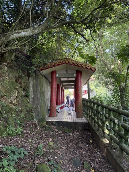 2025/06/26 鳶山 鳶山彩壁 鳶尾山3038631