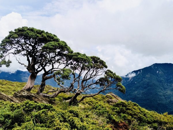 1090702合歡山北峰1037132