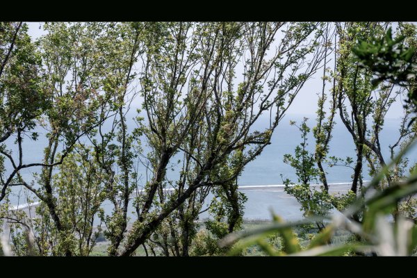 南澳/朝陽國家步道2751993