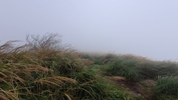 大屯山五連峰含面天山2934594