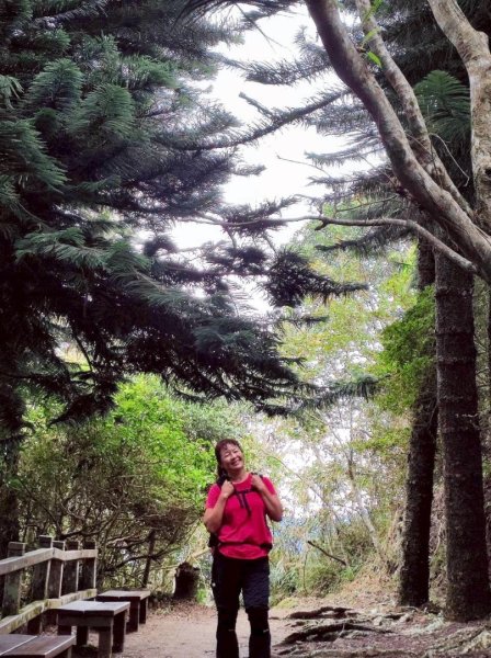 馬那邦山（珠湖登山口）2933932