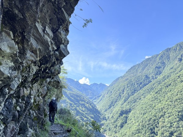 來去郡大坐龍貓公車順登對關山2822334