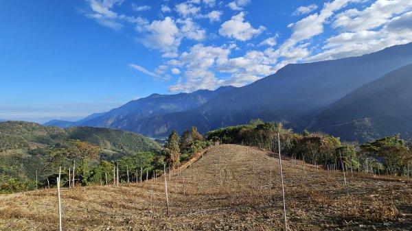 【走進望鄉部落，抬頭就見玉山】獵人古道之望美山、瓊山O繞16K。2972262
