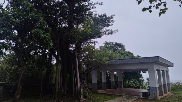 台東鯉魚山3017910