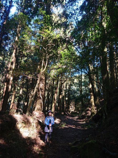 水漾森林、鹿屈山O走2461865