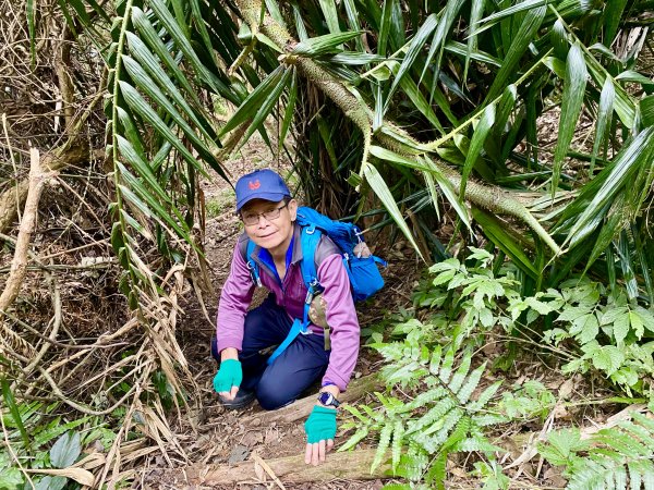 坐公車接駁的神仙縱走2707455
