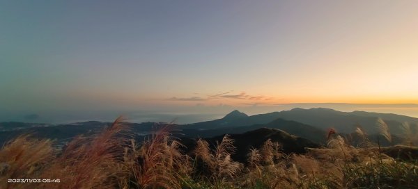 五分山夜景/晨曦/日出/山嵐/芒花2335008