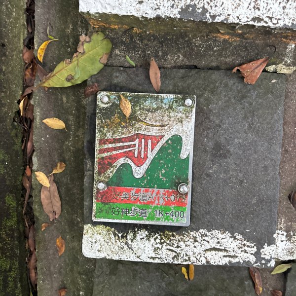 劍潭山+老地方觀機平台2922602