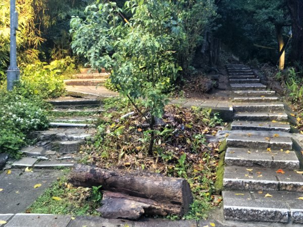 小百岳9：劍潭山1299854