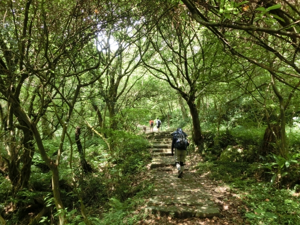 興福寮．向天池．向天山．面天山95200