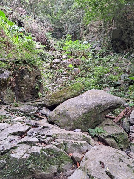 砂卡礑二日行D2：大同部落→千里眼山→砂卡礑步道→小錐麓步道→遊客中心202312032368720