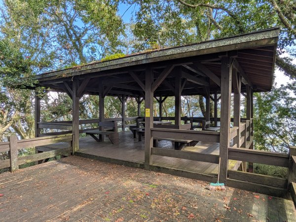 二訪阿里山國家森林遊樂區之大塔山對高岳之旅2991656