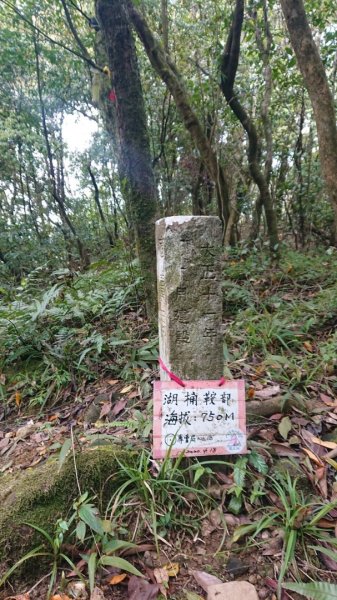 胡桶古道、梳妝樓山Ｏ走2461706