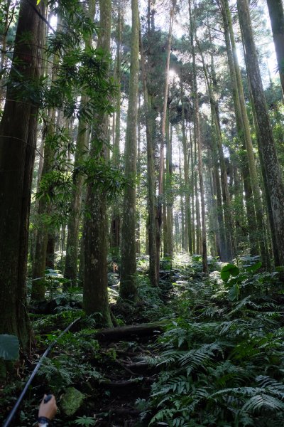 新竹尖石鄉 煤源社區上李棟山、大混山出凌空廊道2550494