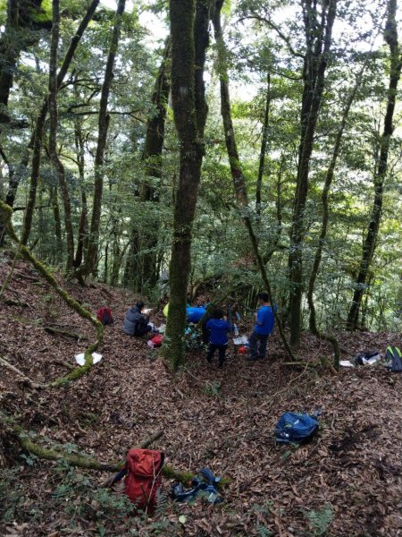 霞喀羅大山之跡600795