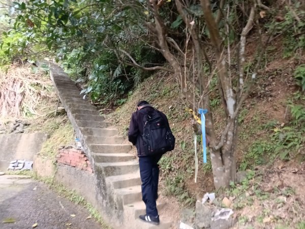 貢寮區蚊子坑古道+和美池+和美山+北勢坑古道2990870