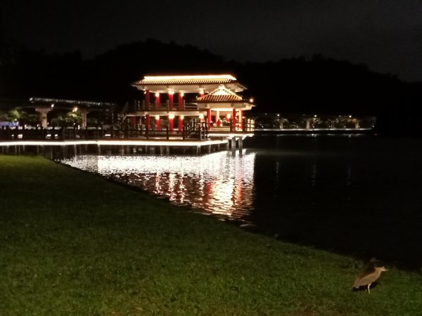 大湖公園《雨中夜行》1904712