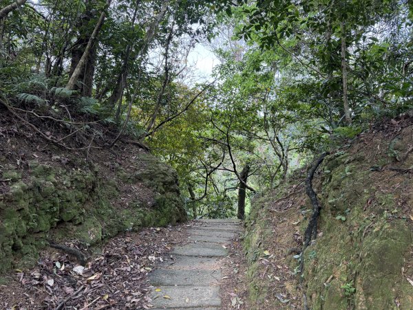 [微笑山線_第四段] 2026_0321 天上山系_三粒半3021081