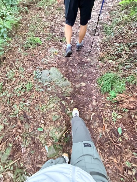 1150730嘉義大凍山之旅3092617