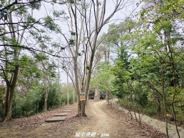 【台中太平】小百岳三汀山3027093