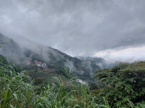 鱷魚島1531741