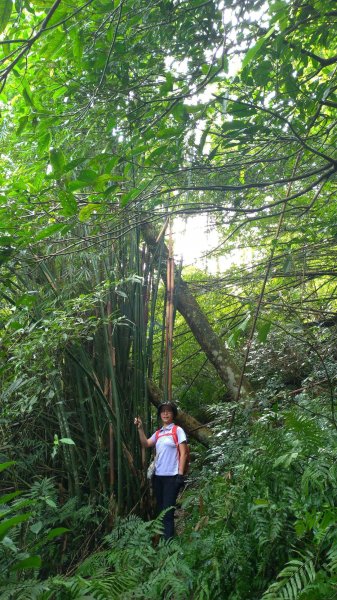 小百岳行~礁溪鵲子山（鵠仔山、鴻子山）跑770831