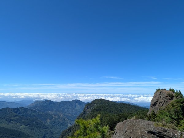 二訪阿里山國家森林遊樂區之大塔山對高岳之旅2991643