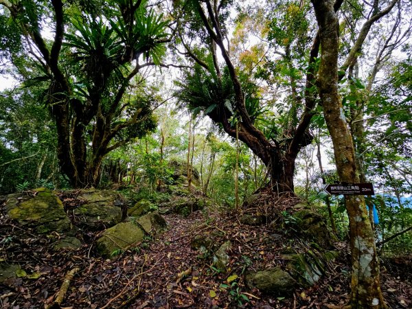 西阿里關山-小百岳#66-高雄市甲仙區2750000