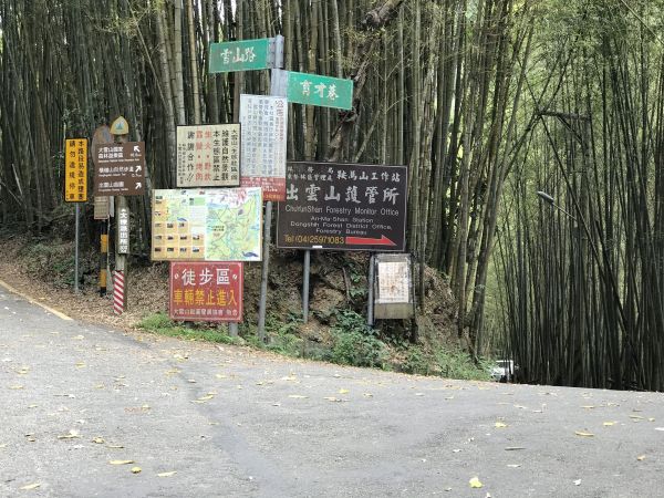 登橫嶺山環走自然步道118182