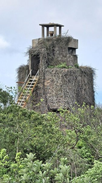 金門：后盤山金中師事件、蔡厝古道太武山2487808