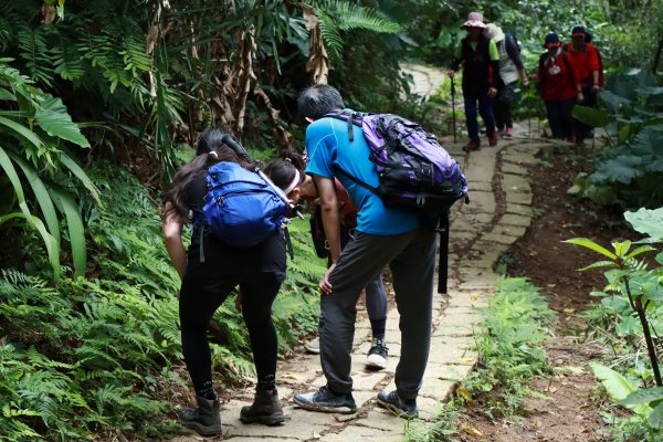 圓通寺。五尖山。烘爐地1564065