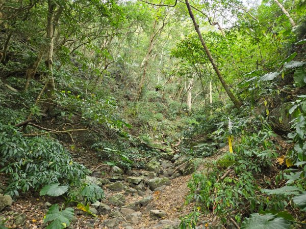 女仍山（小百岳）2752510