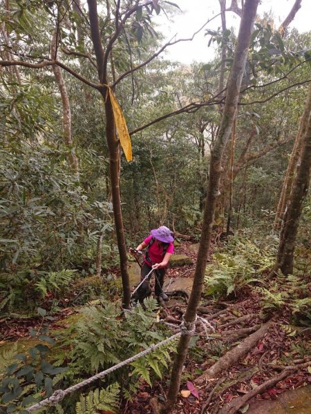 那結山（嘎色鬧部落線）893460