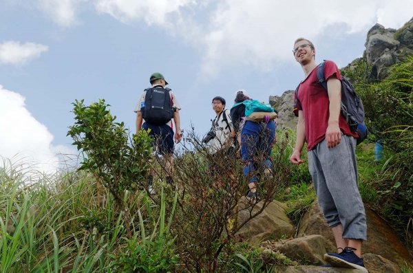 無耳茶壺山。黃金三稜539676